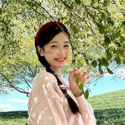 蜘蛛陷阱